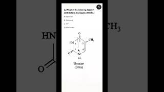 NEET PG biochemistry MCQ  Pyrimidine  Thymine ring structure [upl. by Etoile]