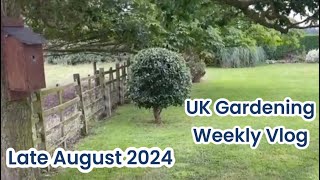 UK Gardening Weekly Vlog Late August 2024 [upl. by Gronseth894]