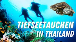 Tauchen in Thailand – Birk trifft bunte Fische Schildkröten amp Korallen  UnterwasserAbenteuer [upl. by Alik150]