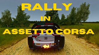 RALLY IN ASSETTO CORSA IS BETTER THAN YOU EXPECTED 😱😱😱 [upl. by Efron]