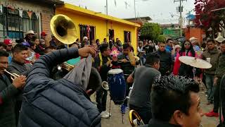 El cóndor pasa banda la macizota de oaxaca [upl. by Osanna25]