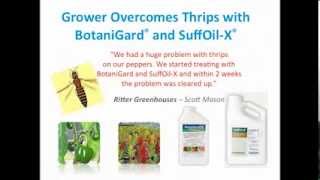 BotaniGard  Superior Biologicallybased Insect Control [upl. by Pearson95]