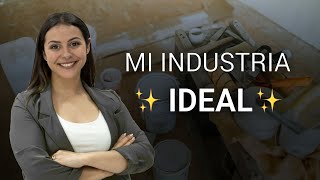 Te revelo mi industria ideal para invertir en franquicias en USA [upl. by Anear]