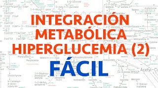 Metabolismo en la saciedad Pte 2 \ Bioquímica fácil [upl. by Asilim958]