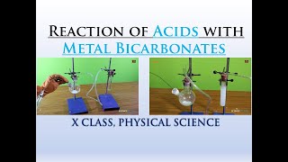 Reaction of Acids with Metal Carbonates and Metal Hydrogen Carbonates Xth Class  Physical Science [upl. by Duncan]