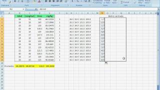 Matriz de varianzas y covarianzas Variance covariance matrix Excel [upl. by Nuahc]