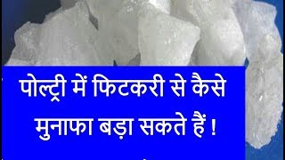 पोल्ट्री में फिटकरी से मुनाफा कैसे बढायें पार्ट 1  Alum In Poultry  Reduce Smell In Poultry [upl. by Salot]