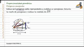 Proporcionalidad geométrica Polígonos semejantes [upl. by Volotta346]