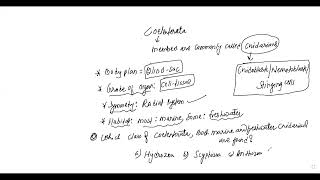 L2 ON COELENTERATA BY KN SIR [upl. by Mcevoy]