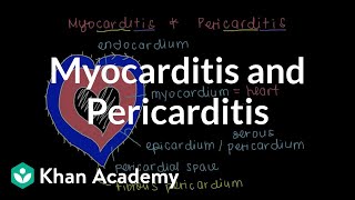 What is myocarditis and pericarditis  Circulatory System and Disease  NCLEXRN  Khan Academy [upl. by Aneerak]