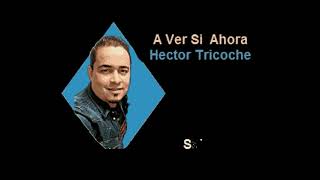 Karaoke Hector Tricoche  A ver Si Ahora Original Salsa coros [upl. by Adnolay]