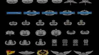 Badges of the US Military [upl. by Almeria791]