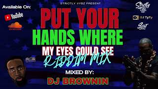 Put Your Hands Where My Eyes Could See Riddim Mix By Dj Brownin SVS [upl. by Aernda172]