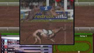 Greyhound Manager 2  Greyhound racing game [upl. by Teemus801]