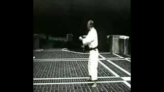 十手 Jitte  Hironori Otsuka kata [upl. by Monetta]