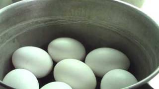 How To Make Hard Boiled Eggs Come Out Right Almost Every Time [upl. by Chap]