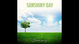 Sunshiny Day official lyric video [upl. by Pavior]