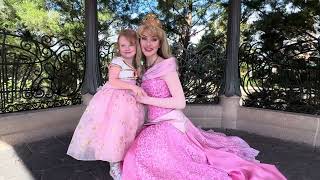 Princess Aurora Meet and Greets at Epcot Cinderella’s Royal Table and Akershus Royal Banquet Hall [upl. by Gazo875]