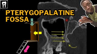 Pterygopalatine Fossa Anatomy  PPF Boundaries and Foramina  Radiology Anatomy [upl. by Awe631]