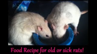 Quick Tip tuesday Food Recipe for sick rats [upl. by Eatnad]