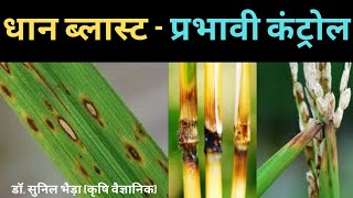 धान ब्लास्ट रोग के लक्षण व रोकथाम Paddy Blast Symptomsamp Control khetikadoctor drsunilbhaira paddy [upl. by Manuela268]