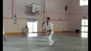 2006 Shodokan Aikido Freestyle Kata Demonstration 2 [upl. by Alessandra]