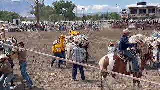 UC Davis Horse Barn Team Wins Big at Bishop Mule Days [upl. by Zak]