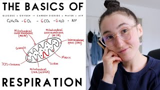 CELLULAR RESPIRATION PART 1  ALEVEL BIOLOGY MADE EASY [upl. by Kenlay922]