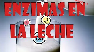 Enzimas de la leche [upl. by Ariaic]