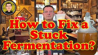 How to fix a stuck fermentation in home beer brewing [upl. by Olemrac]