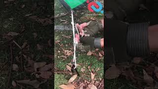 Great rope skill for camping tent Camping items link in Bio knotshortchannel [upl. by Kloster]