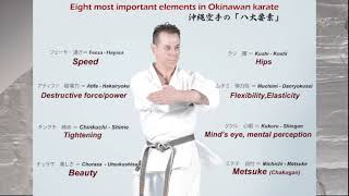 The Essence of Okinawan Karate The Power of Chinkuchi [upl. by Aniz839]