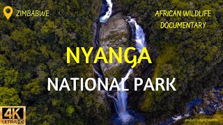 African Wildlife Documentary Film  Nyanga National Park Zimbabwe Africa [upl. by Anailuj]