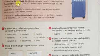 Vocabulario Sufijos valorativos Aumentativos diminutivos y despectivos [upl. by Latouche]