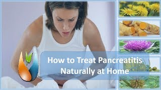 How to Treat Pancreatitis Naturally at Home [upl. by Elli]