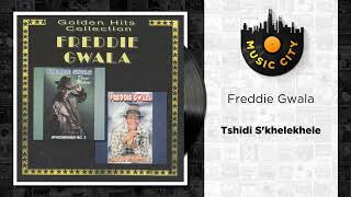 Freddie Gwala  Tshidi Skhelekhele  Official Audio [upl. by Aiceled454]