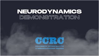 Neurodynamics  Demonstration [upl. by Eedissac]