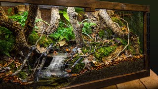 Realistic Indoor Meandering Creek Forest Biome Vivarium [upl. by Aed]