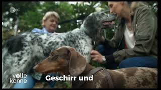 LOCKness Hundediebstahlschutz [upl. by Roosevelt]