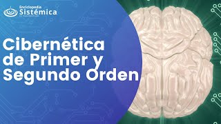 Cibernética de Primer y Segundo Orden y Terapia Sistémica [upl. by Adilen]