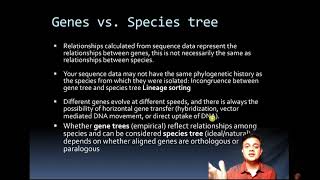 Orthologues Paralogues Gene tree Species tree and Lineage Sorting [upl. by Suhpoelc]