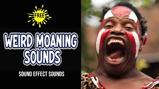 Weird Moaning Sounds  Moan MEME Sound Effect [upl. by Reis988]