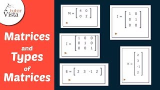 Matrices and Types of Matrices  Definition Examples [upl. by Trinia]