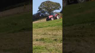 Massey Ferguson 6180 flail mowing [upl. by Lotty635]