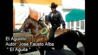 El aguilillo  Los tigres del norte [upl. by Fusuy260]