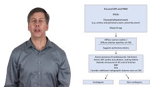 An Approach to Acute Dyspnea [upl. by Nirrat]