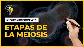 DIVISIÓN CELULAR  MEIOSIS 🟠 Explicación COMPLETA [upl. by Elyagiba876]