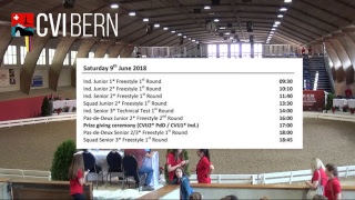 CVI Bern 2018  Staturday [upl. by Nolek]