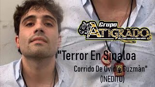 GRUPO ATIGRADO  TERROR EN SINALOA quotCORRIDO DE OVIDIO GUZMÁNquot INEDITO [upl. by Horne]