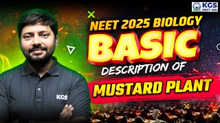 NEET 2025 Biology  Basic Description of Mustard Plant  Botany by AP Sir  KGS Offline [upl. by Jacklyn842]